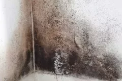 damp1