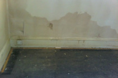 damp2